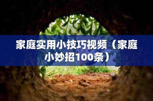 家庭实用小技巧视频（家庭小妙招100条）