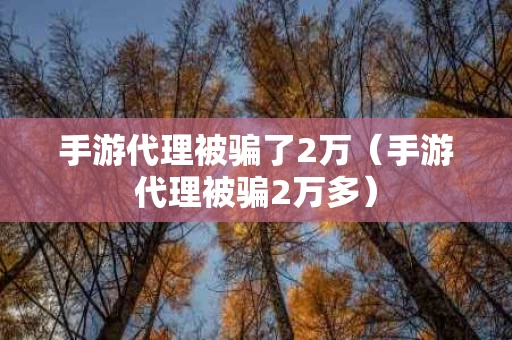 手游代理被骗了2万（手游代理被骗2万多）