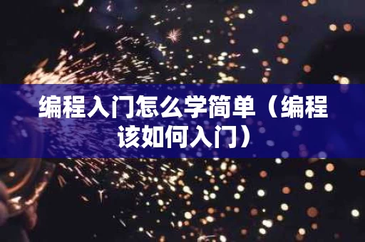 编程入门怎么学简单（编程该如何入门）