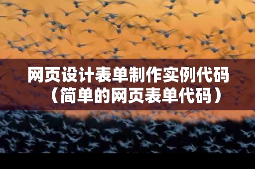 网页设计表单制作实例代码（简单的网页表单代码）