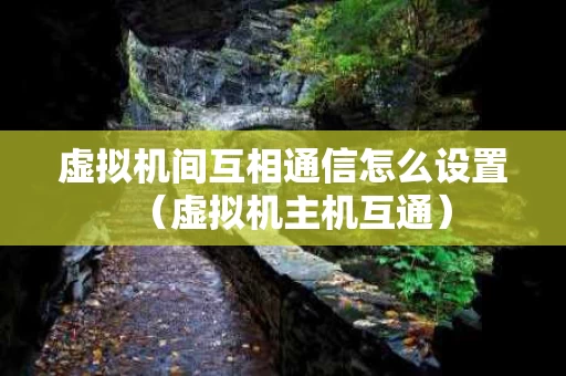 虚拟机间互相通信怎么设置（虚拟机主机互通）