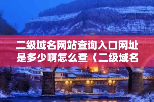 二级域名网站查询入口网址是多少啊怎么查（二级域名网站查询入口网址是多少啊怎么查询）