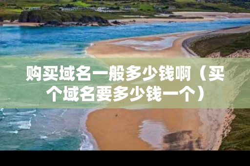 购买域名一般多少钱啊（买个域名要多少钱一个）