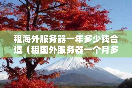 租海外服务器一年多少钱合适（租国外服务器一个月多少钱）
