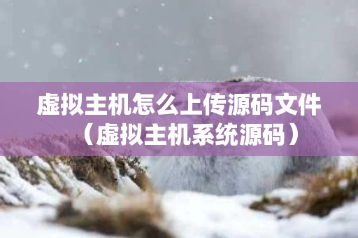 虚拟主机怎么上传源码文件（虚拟主机系统源码）