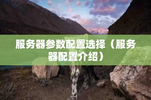 服务器参数配置选择（服务器配置介绍）