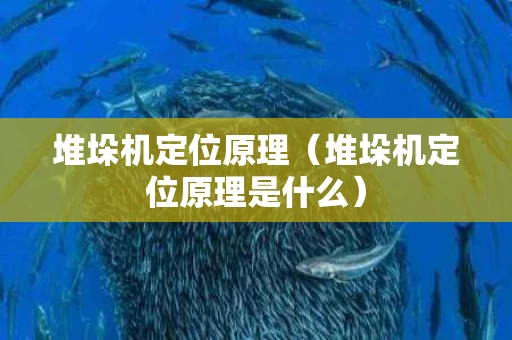 堆垛机定位原理（堆垛机定位原理是什么）
