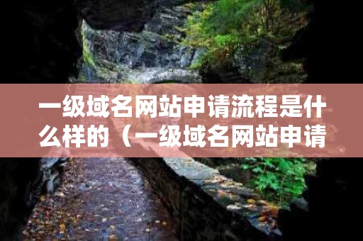 一级域名网站申请流程是什么样的（一级域名网站申请流程是什么样的呢）