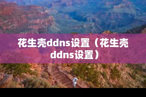 花生壳ddns设置（花生壳 ddns设置）