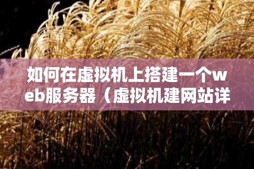 如何在虚拟机上搭建一个web服务器（虚拟机建网站详细步骤）