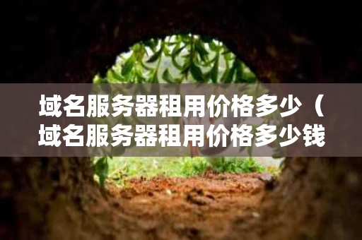 域名服务器租用价格多少（域名服务器租用价格多少钱）