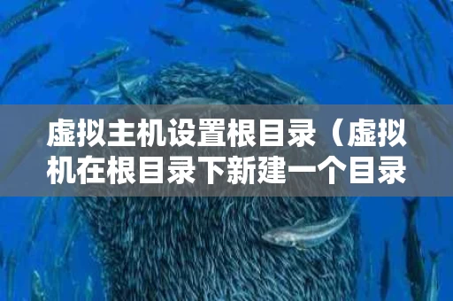 虚拟主机设置根目录（虚拟机在根目录下新建一个目录）