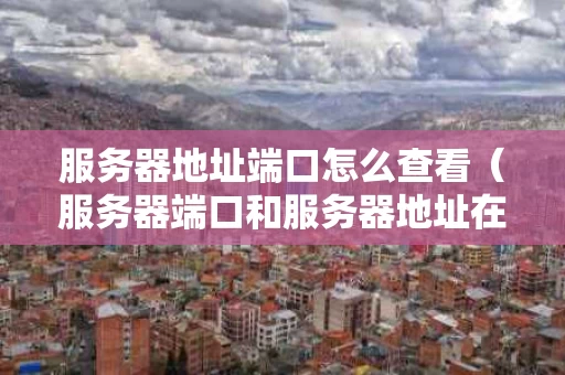 服务器地址端口怎么查看（服务器端口和服务器地址在哪里看）
