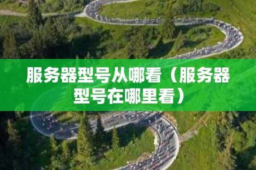 服务器型号从哪看（服务器型号在哪里看）
