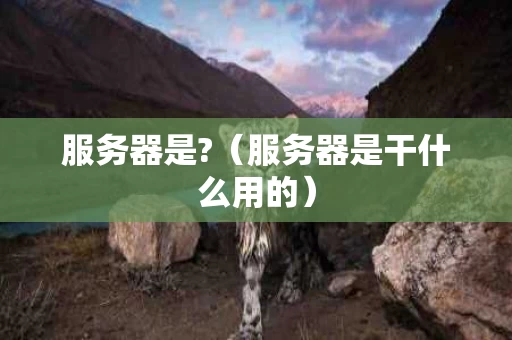 服务器是?（服务器是干什么用的）