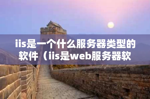 iis是一个什么服务器类型的软件（iis是web服务器软件吗）