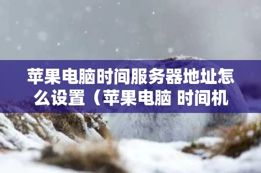 苹果电脑时间服务器地址怎么设置（苹果电脑 时间机器）