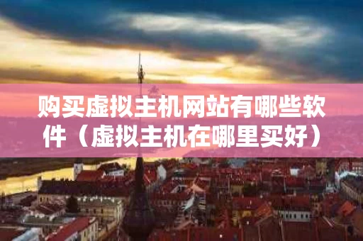 购买虚拟主机网站有哪些软件（虚拟主机在哪里买好）