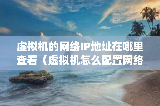 虚拟机的网络IP地址在哪里查看（虚拟机怎么配置网络ip地址）