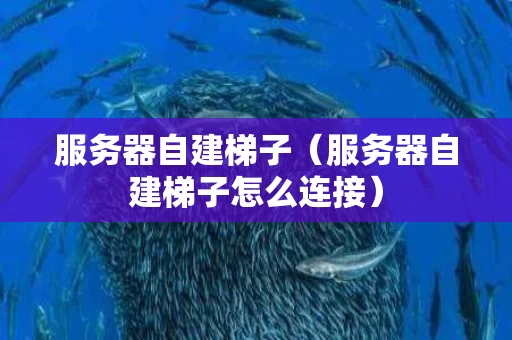 服务器自建梯子（服务器自建梯子怎么连接）