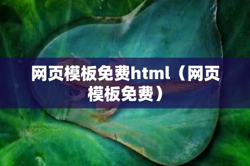网页模板免费html（网页模板免费）