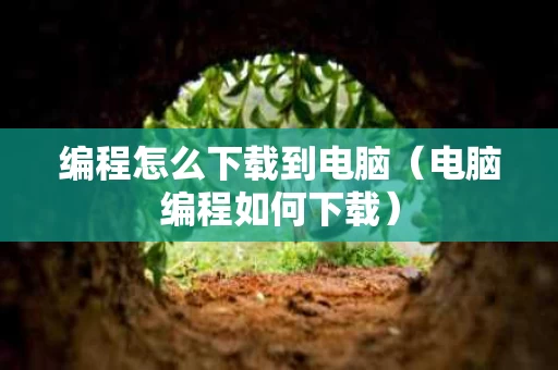 编程怎么下载到电脑（电脑编程如何下载）
