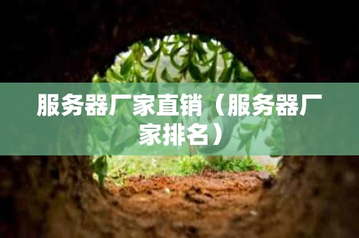 服务器厂家直销（服务器厂家排名）
