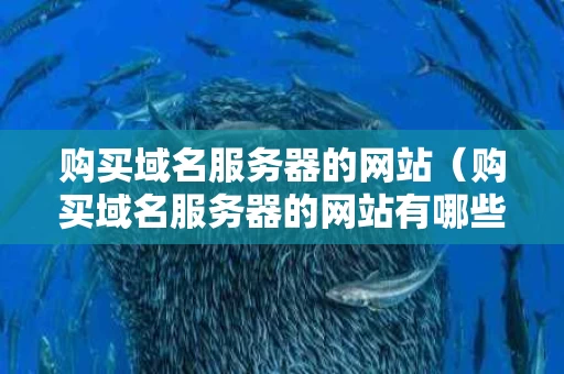 购买域名服务器的网站（购买域名服务器的网站有哪些）