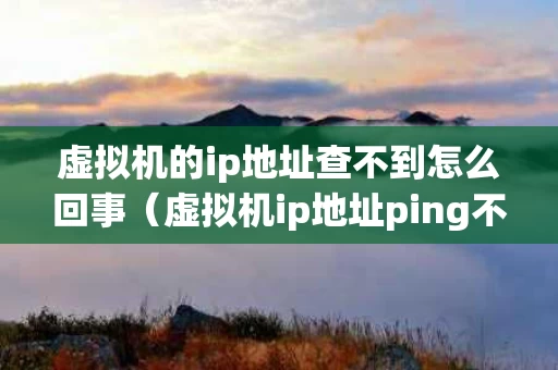 虚拟机的ip地址查不到怎么回事（虚拟机ip地址ping不通）