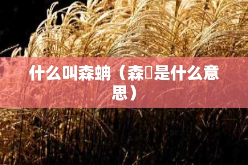 什么叫森蚺（森菉是什么意思）