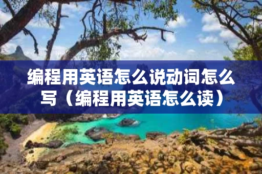编程用英语怎么说动词怎么写（编程用英语怎么读）