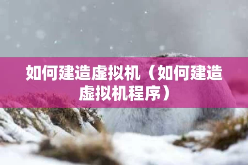 如何建造虚拟机（如何建造虚拟机程序）