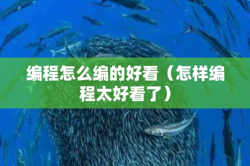 编程怎么编的好看（怎样编程太好看了）