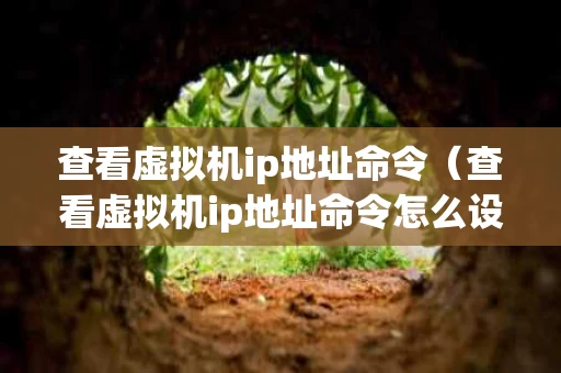 查看虚拟机ip地址命令（查看虚拟机ip地址命令怎么设置）