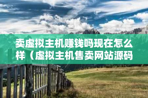 卖虚拟主机赚钱吗现在怎么样（虚拟主机售卖网站源码）