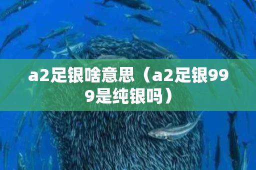 a2足银啥意思（a2足银999是纯银吗）