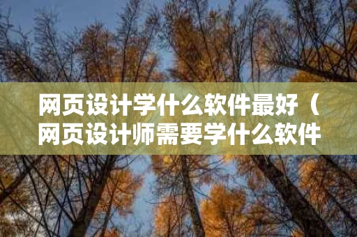 网页设计学什么软件最好（网页设计师需要学什么软件）