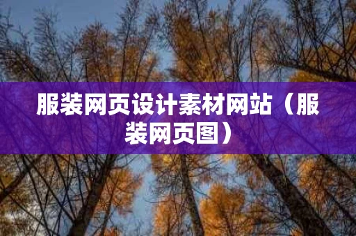 服装网页设计素材网站（服装网页图）