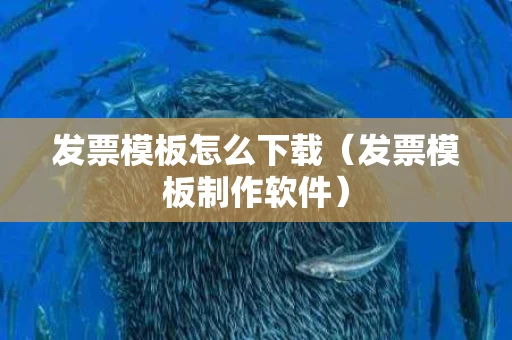 发票模板怎么下载（发票模板制作软件）