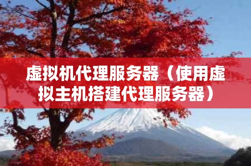 虚拟机代理服务器（使用虚拟主机搭建代理服务器）