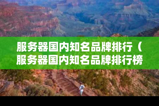 服务器国内知名品牌排行（服务器国内知名品牌排行榜）