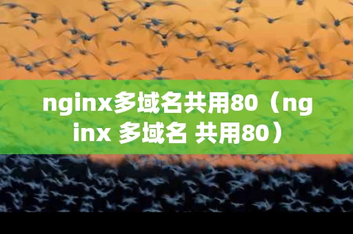 nginx多域名共用80（nginx 多域名 共用80）