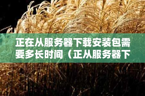 正在从服务器下载安装包需要多长时间（正从服务器下载安装包是什么意思）