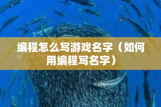 编程怎么写游戏名字（如何用编程写名字）