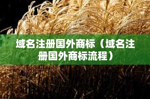 域名注册国外商标（域名注册国外商标流程）