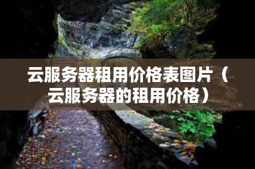 云服务器租用价格表图片（云服务器的租用价格）