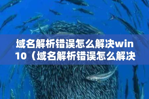 域名解析错误怎么解决win10（域名解析错误怎么解决网络连接）