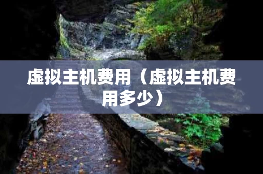 虚拟主机费用（虚拟主机费用多少）