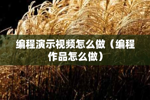 编程演示视频怎么做（编程作品怎么做）