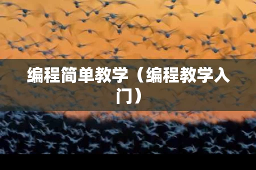编程简单教学（编程教学入门）